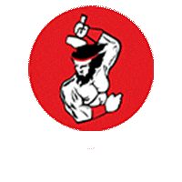 Balmukund Super Steel logo